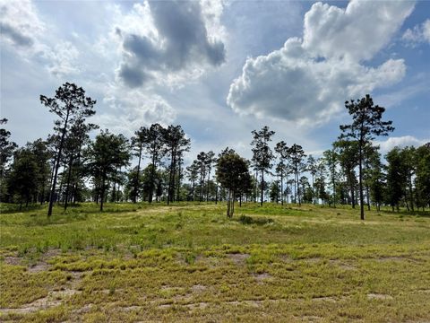 Photo of 74 Western Road, Livingston, TX 77351 (MLS # 82021814)