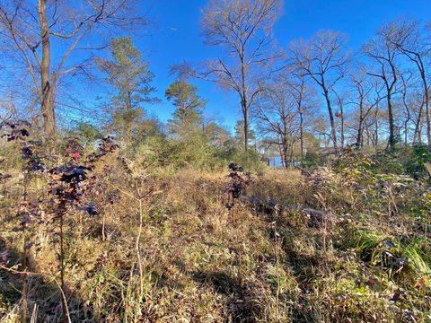 Photo of 9 Tall Timber Road, Crockett, TX 75835 (MLS # 65559808)