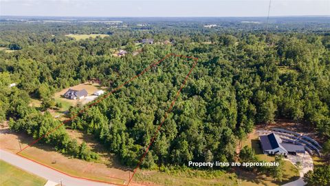 Photo of 16911 Ridgeline Loop, Winona, TX 75792 (MLS # 59407235)