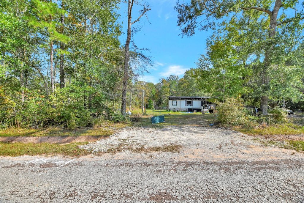 Photo of 111 Bonnie Creek Dr, Coldspring, TX 77331 (MLS # 8726885)