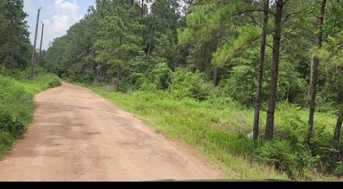 Vacant Land For Sale - 13 Scarlet Oak Dr<br/> Plantersville, TX 77363