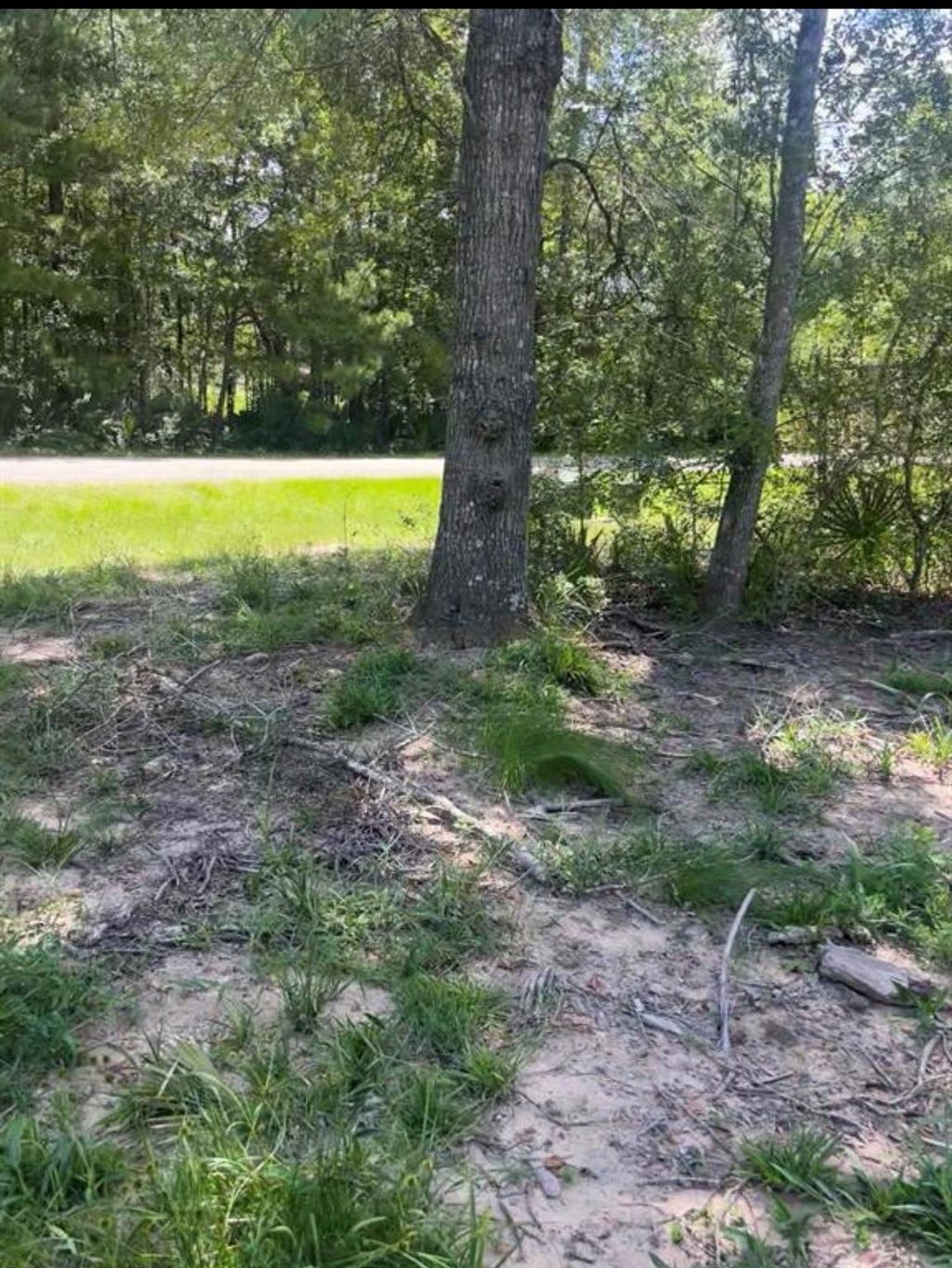 Photo of 56 Firewood Road, Huntsville, TX 77340 (MLS # 90541996)