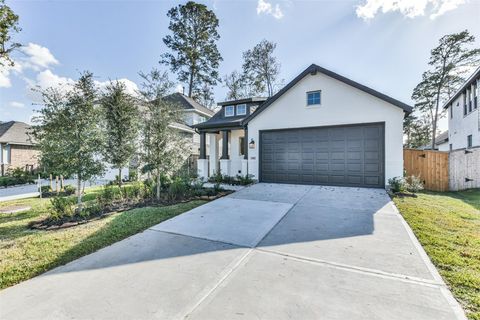 508 Chestnut Reef Court Conroe TX 77304