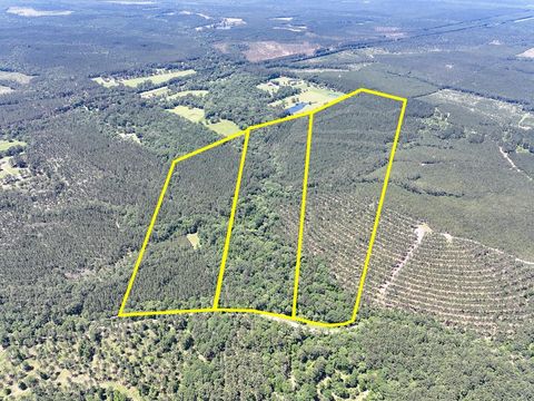Photo of 11 Howell Road, Corrigan, TX 75939 (MLS # 49533355)
