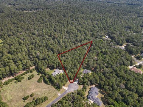 7715 Saddle Blanket Drive Waller TX 77484