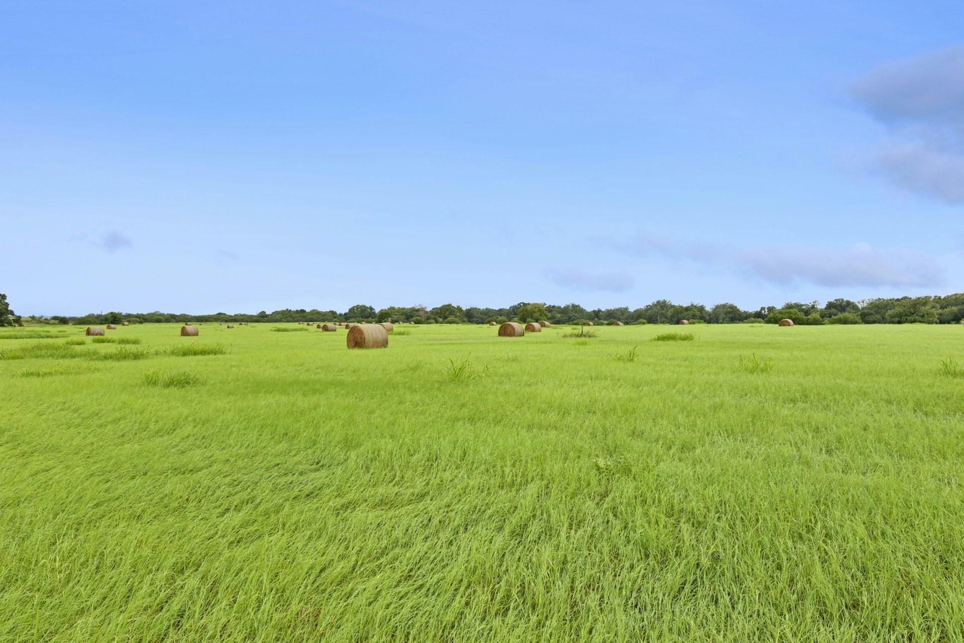 2631 Golden Valley Lane