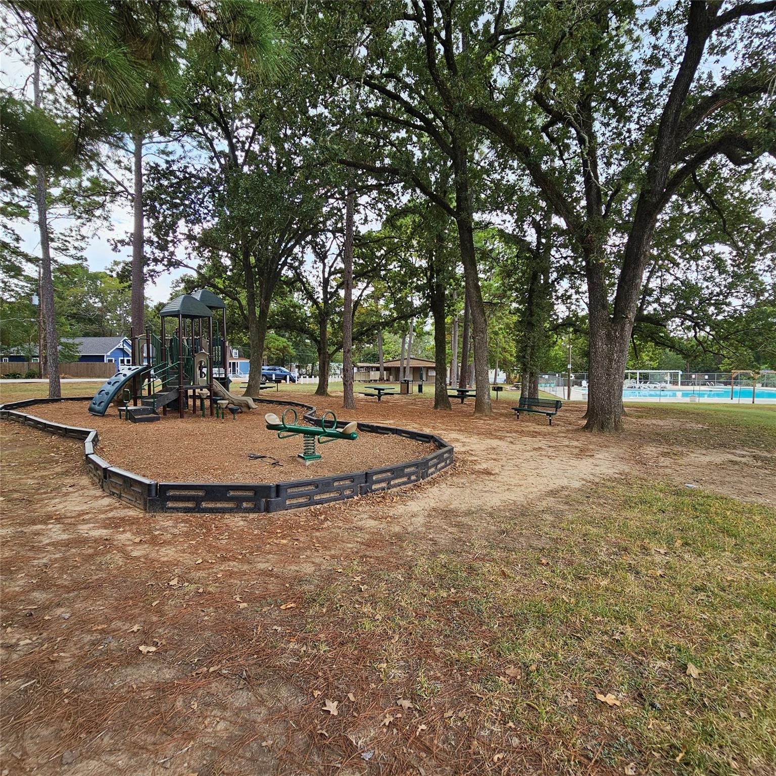 00 Scarlet Oak