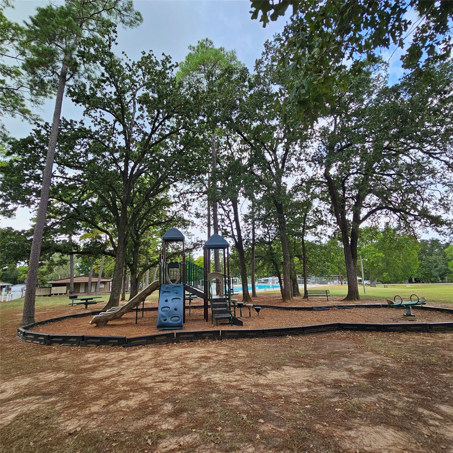 00 Scarlet Oak