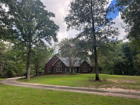 Photo of 461 County Road 4270, Woodville, TX 75979 (MLS # 77193807)