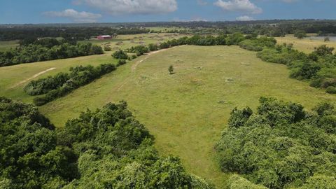 Vacant Land For Sale - TBD Holle Lane<br/> Washington, TX 77880