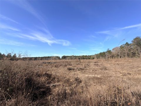 Vacant Land For Sale - TBD Cr 4800<br/> Warren, TX 77664