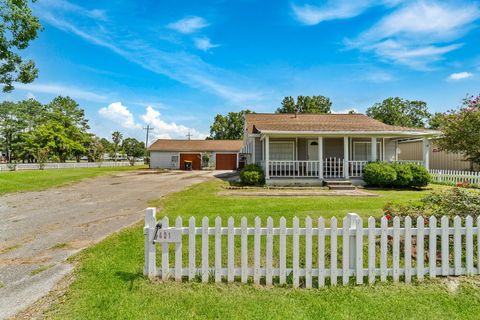 Photo of 401 Lee Avenue, Anahuac, TX 77514 (MLS # 11940897)