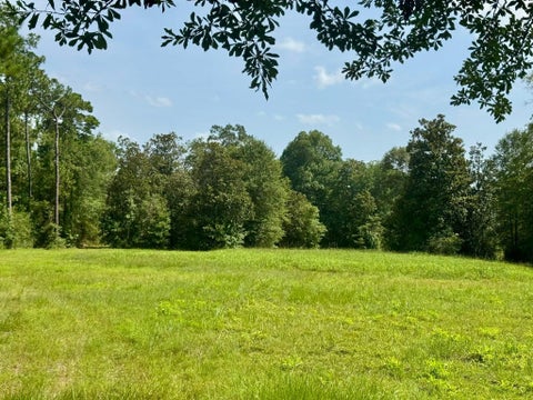 Photo of TBD Fm 1013, Hillister, TX 77624 (MLS # 27564383)
