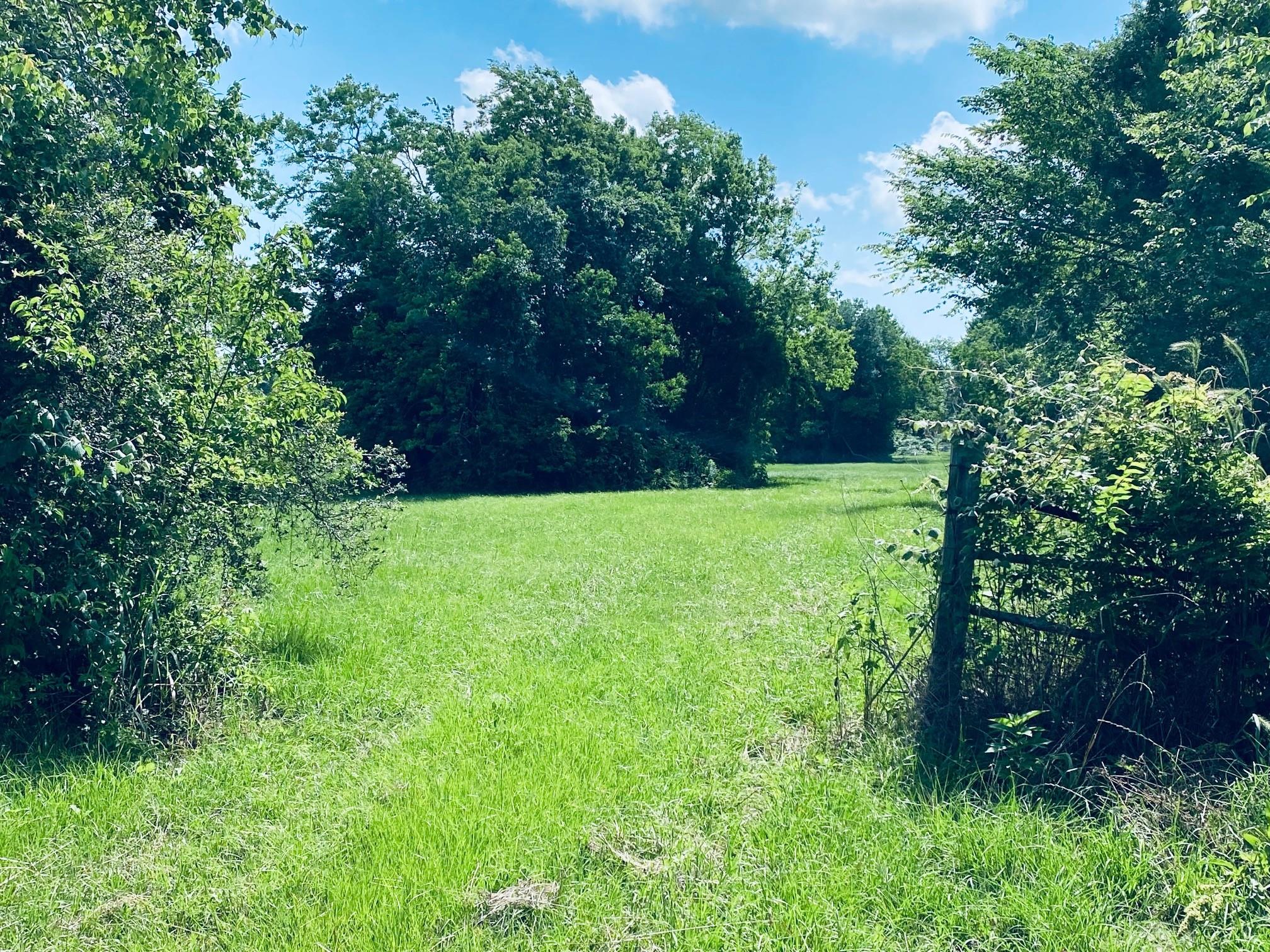 1717 Caroline Street