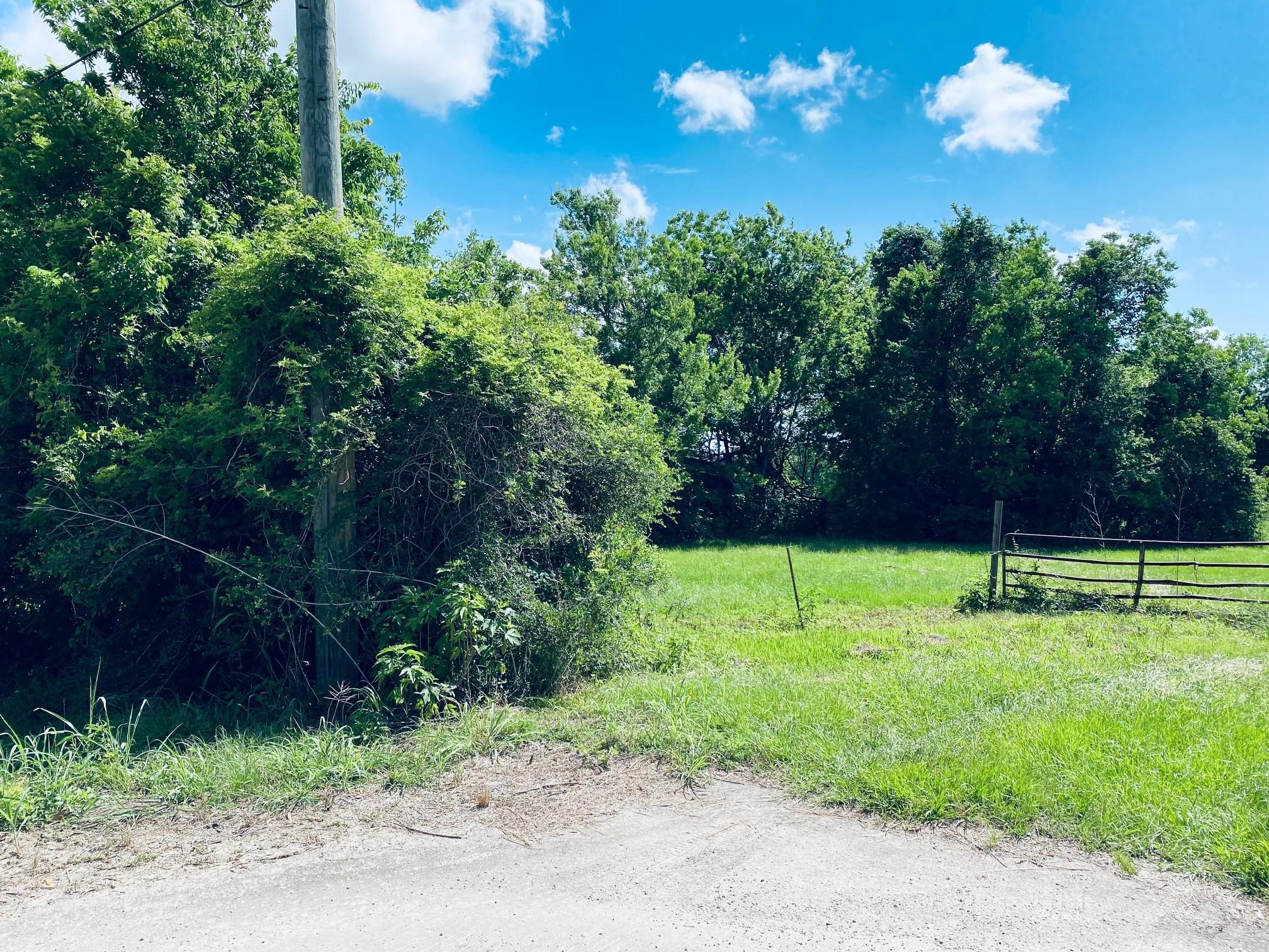 1717 Caroline Street