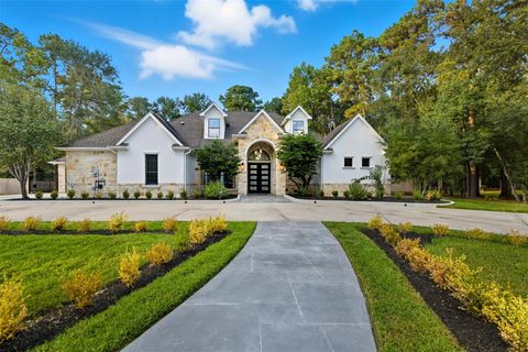 19531 Riverwalk Drive Porter TX 77365
