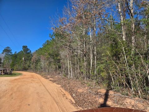 Vacant Land For Sale - TBD Private Road 5020<br/> Tyler County, Woodville, TX 75979