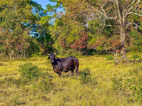 Vacant Land For Sale - TBD County Road 2090<br/> Liberty, TX 77575