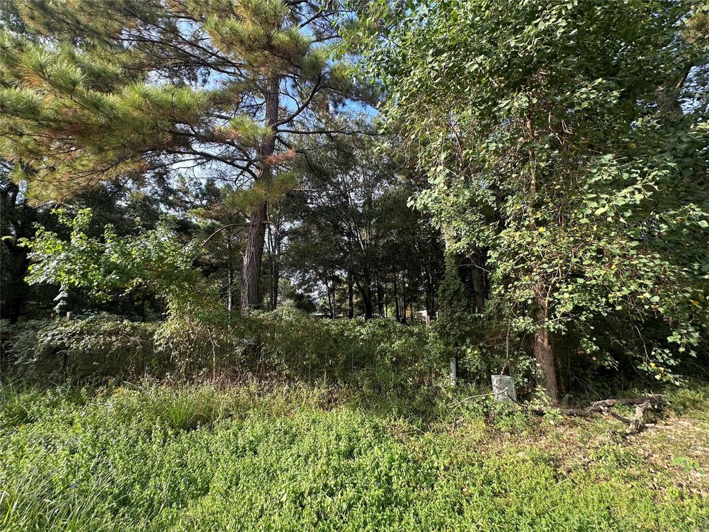 Photo of 25933 Essex, New Caney, TX 77357 (MLS # 34845297)