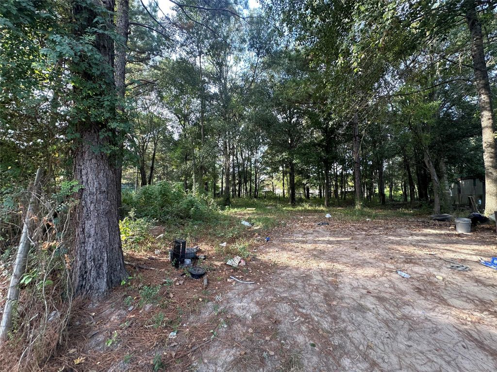 Photo of 25933 Essex, New Caney, TX 77357 (MLS # 34845297)