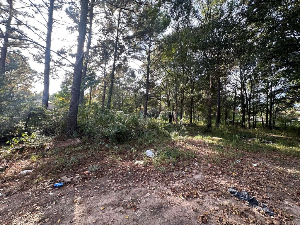 Photo of 25933 Essex, New Caney, TX 77357 (MLS # 34845297)