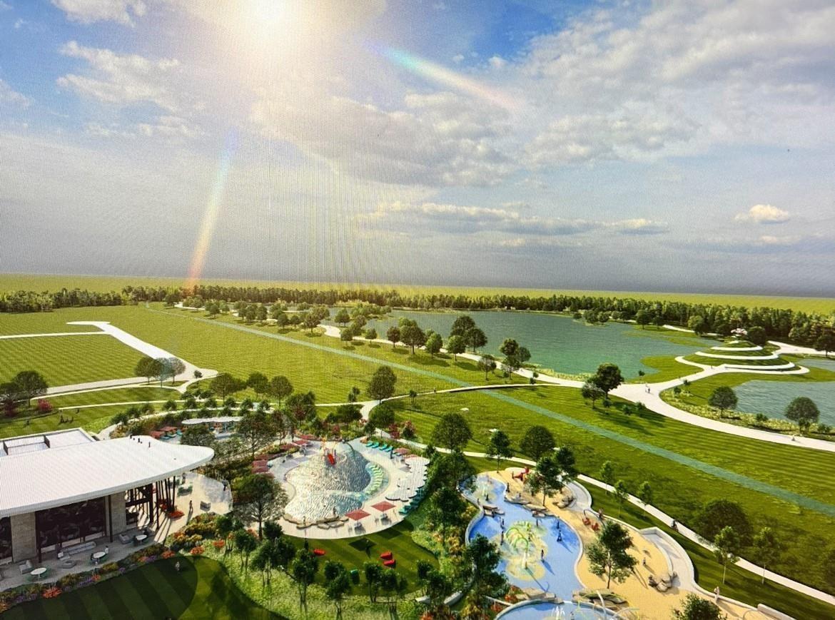 16203 Domestic Dove Way