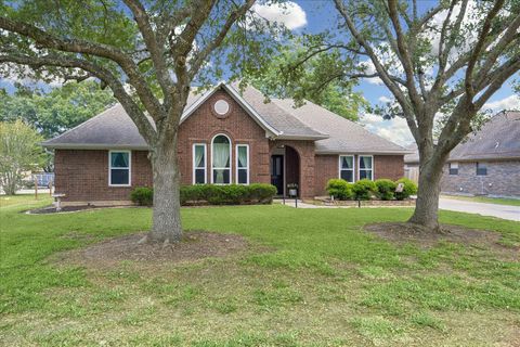 Photo of 202 W Larkspur Drive, Alvin, TX 77511 (MLS # 79764484)