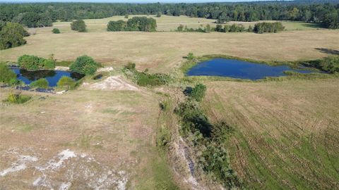 Photo of TBD County Road 3495, Lovelady, TX 75851 (MLS # 25665079) Photo of TBD County Road 3495, Lovelady, TX 75851 (MLS # 25665079)
