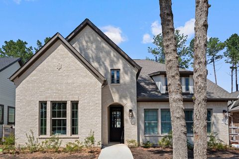Photo of 8134 Y'all Street, Montgomery, TX 77316 (MLS # 24211495)