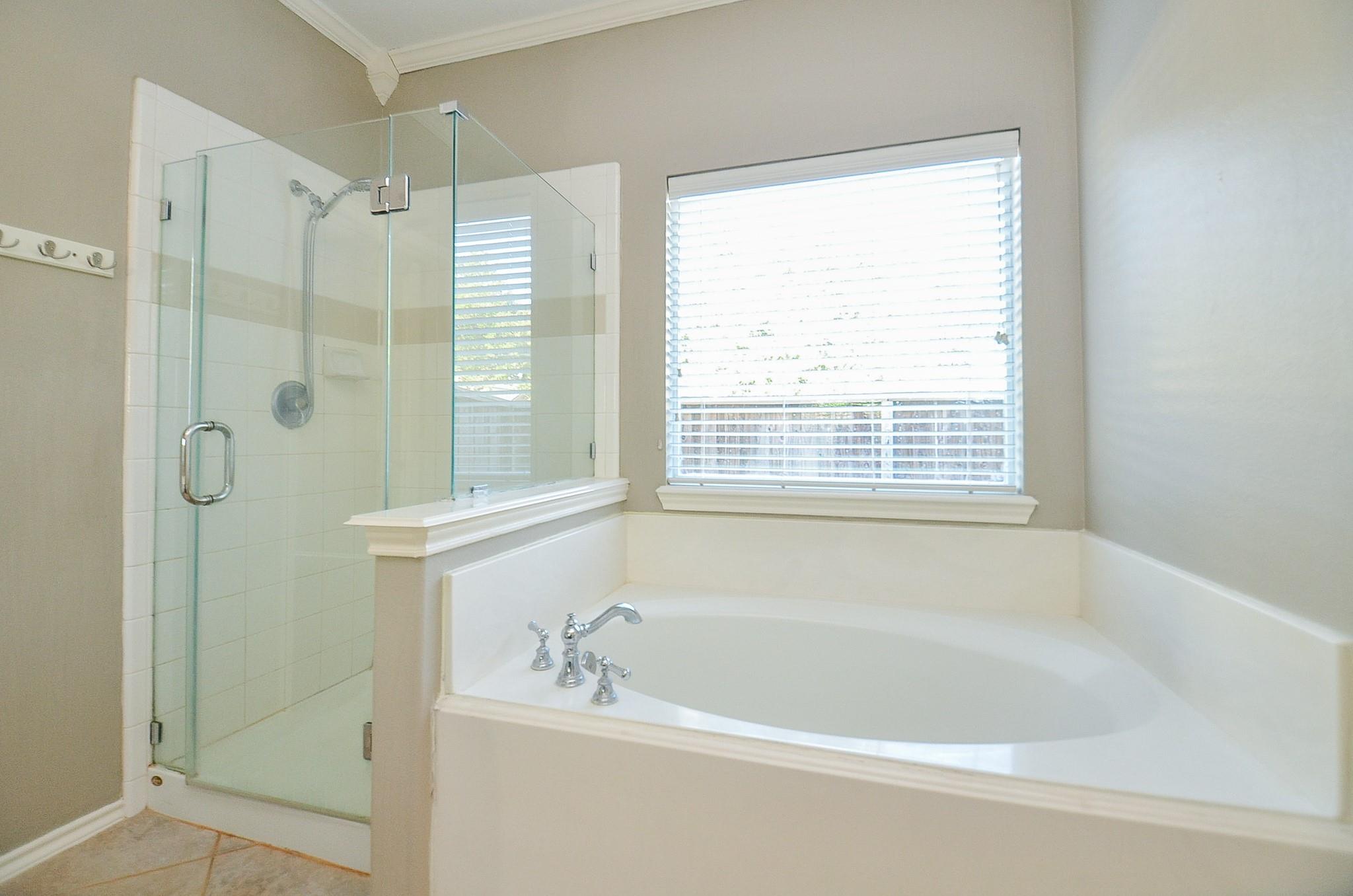 Katy, Texas 77494, United States, 4 Bedrooms Bedrooms, ,3 BathroomsBathrooms,Residential,Active,238855