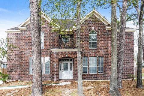 Photo of 3931 Echo Mountain Drive, Houston, TX 77345 (MLS # 47589479)