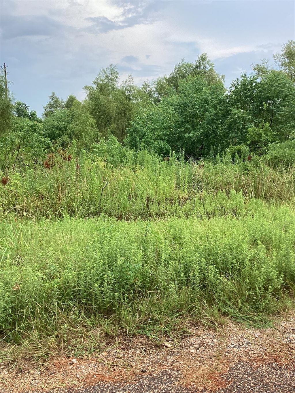 Photo of 24795 Plantation Estates Circle, Porter, TX 77365 (MLS # 93742907)