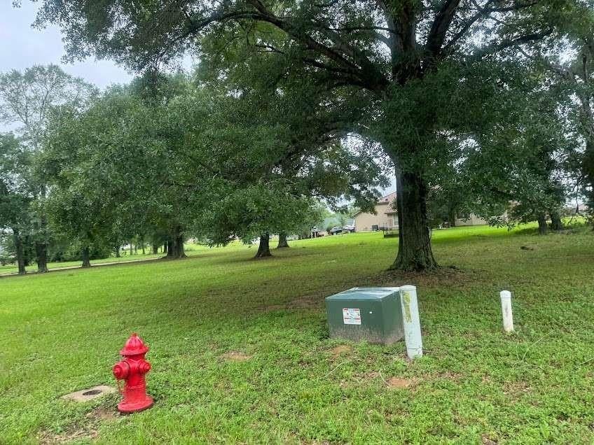 Photo of 63 Birdie Drive, Hempstead, TX 77445 (MLS # 5454582)