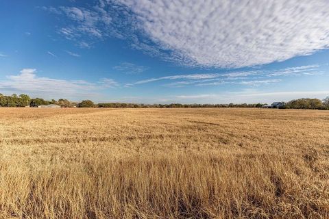 Vacant Land For Sale - Miller Road<br/> Bellville, TX 77418