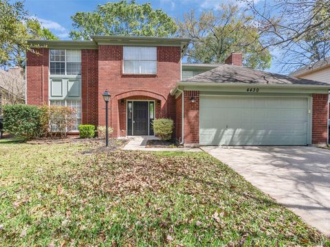 Photo of 4430 Echo Falls Drive, Houston, TX 77345 (MLS # 87349334)