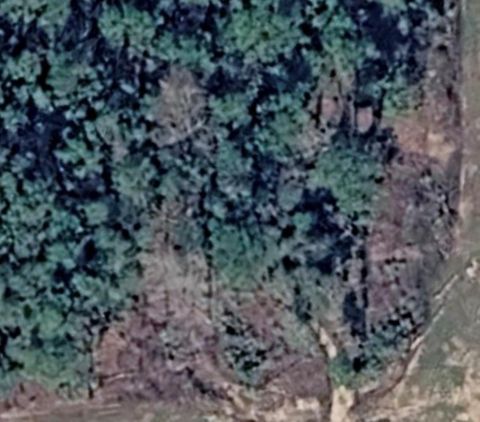 Vacant Land For Sale - 15840 Ridge Oak Road<br/> Willis, TX 77378