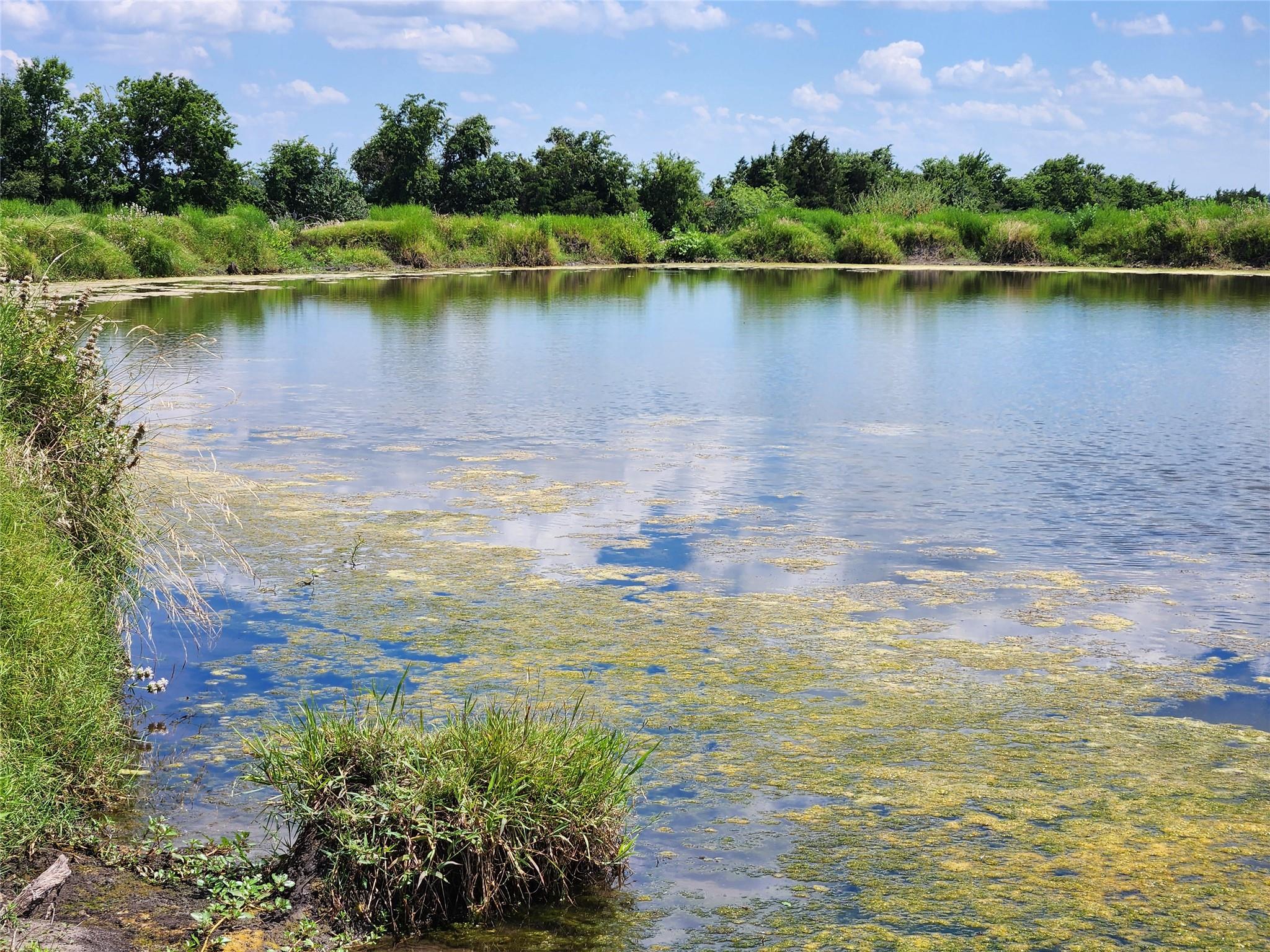 6055 Mockingbird Road