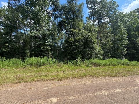 0 Mcrae Circle Conroe TX 77303