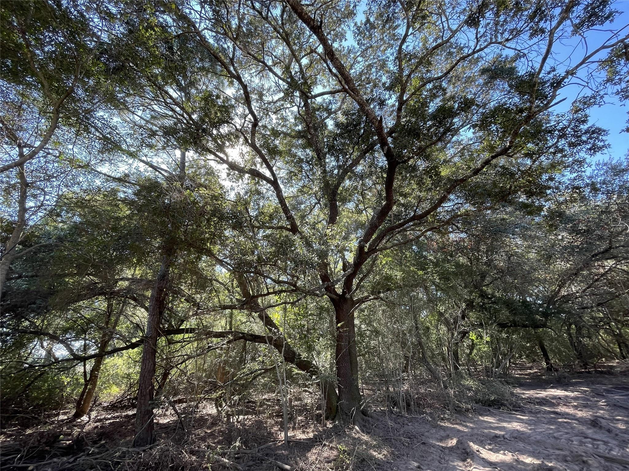 0 County Line Road