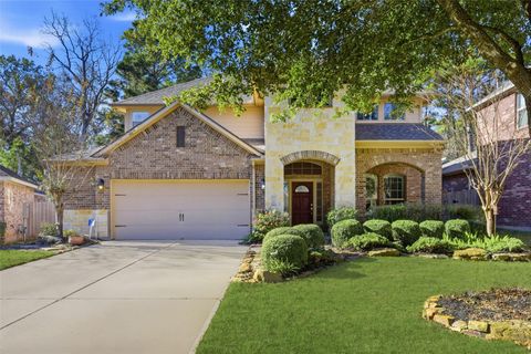 114 Forest Elk Place Montgomery TX 77316