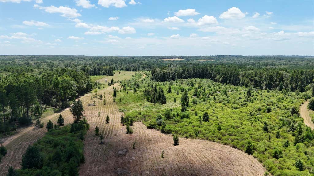 Photo of TBD Oakdale Loop, Livingston, TX 77351 (MLS # 37043409)