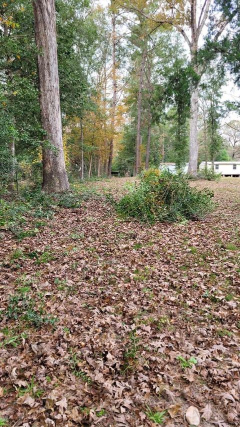 Vacant Land For Sale - Beverly Drive<br/> Shepherd, TX 77371