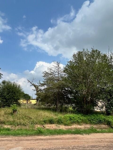 Photo of 0 2nd Street, Hempstead, TX 77445 (MLS # 10987692)