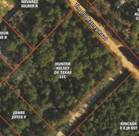 Photo of 138 Barbara Trail, Livingston, TX 77351 (MLS # 89747229)