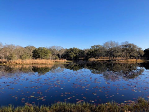 Photo of 1141 Reeves Road, Garwood, TX 77442 (MLS # 53601897)