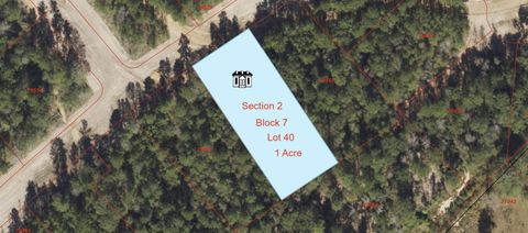 Photo of 227 Eden Court, New Waverly, TX 77358 (MLS # 3775762)