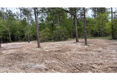 Photo of 0 Langham, Kountze, TX 77625 (MLS # 8184087)