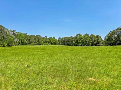 Vacant Land For Sale - 398 County Road 172<br/> Jasper, TX 75951