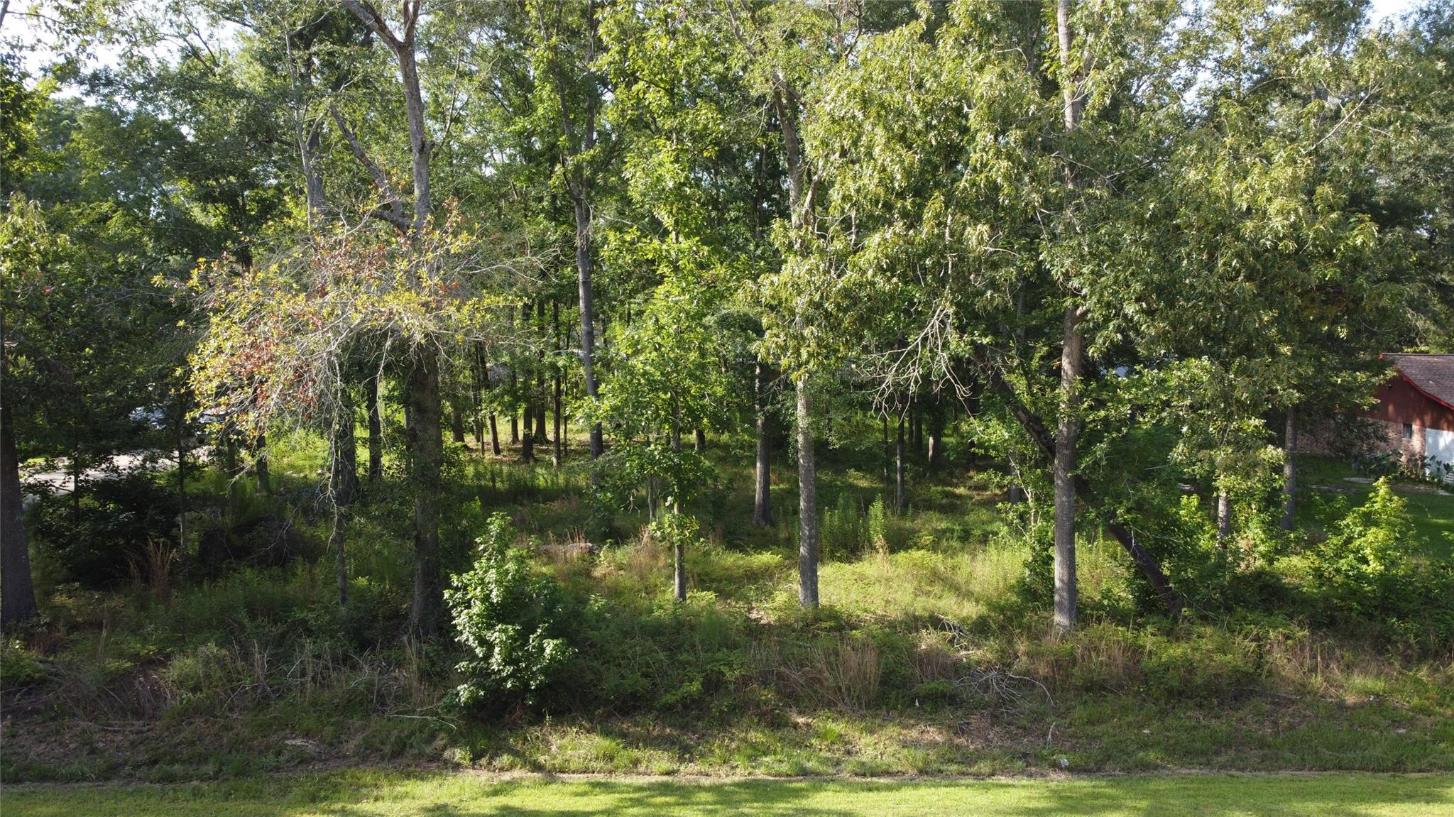 9 Sweetgum Drive