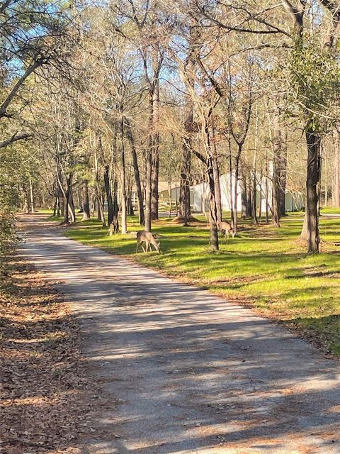 Photo of 83 Dahlia Road, Huntsville, TX 77320 (MLS # 75788174)